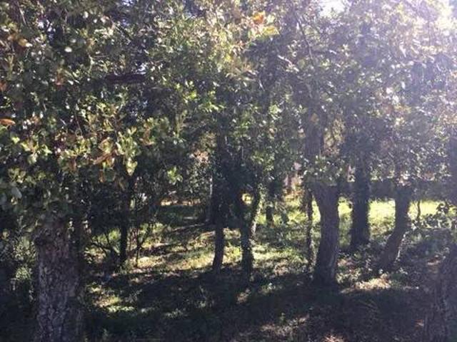 Terreno en venta en Baix Empordà, Catalunya