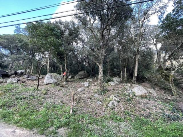 Terreno en venta en Romanyà de la Selva, Baix Empordà