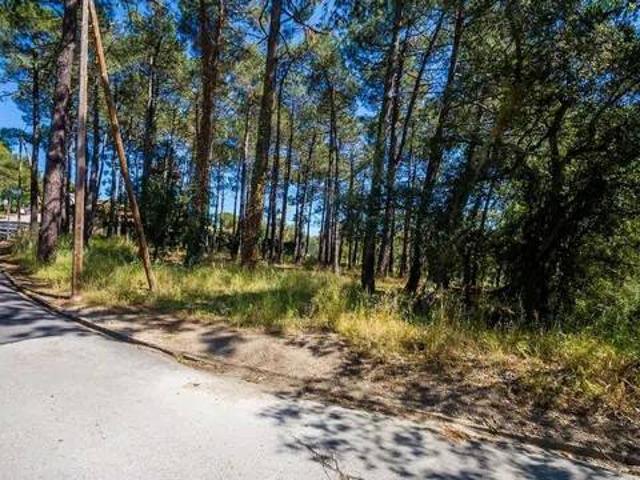 Terreno en venta en Baix Empordà, Catalunya