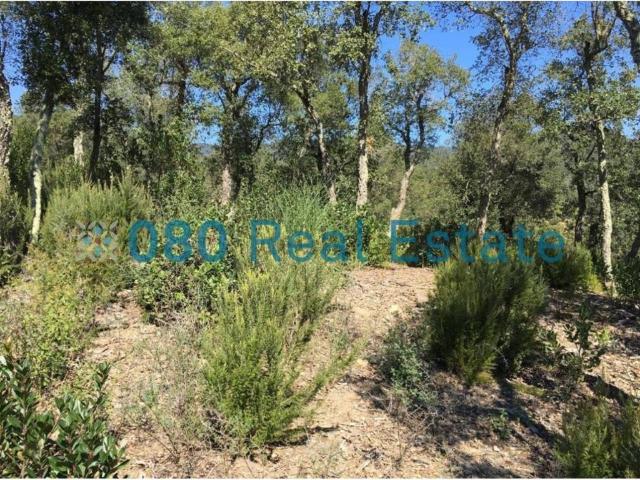 Terreno en venta en Baix Empordà, Catalunya