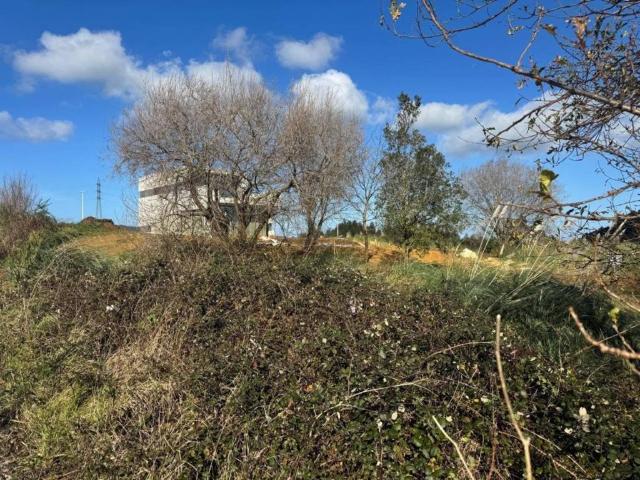 Terreno en venta en Santa Cruz De Bezana, Cantabria