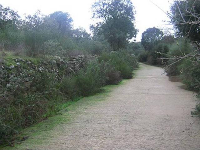 Terreno en venta en Santa Cruz De La Sierra, Extremadura