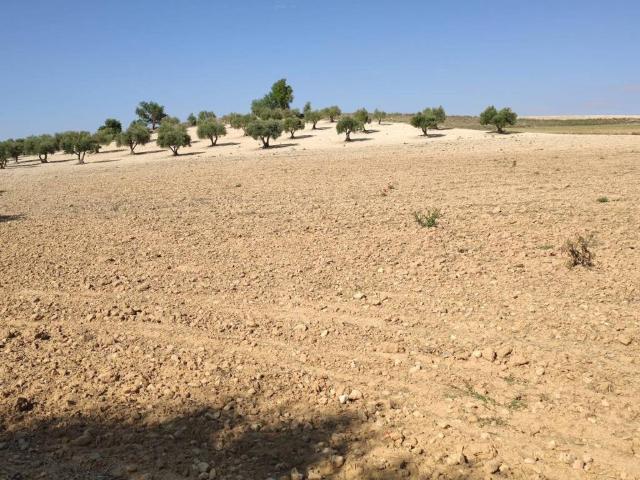 Terreno en venta en Santa Cruz De La Zarza Terreno en venta en Santa Cruz De La Zarza