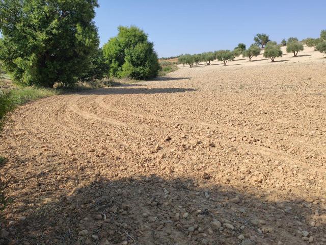 Terreno en venta en Santa Cruz De La Zarza