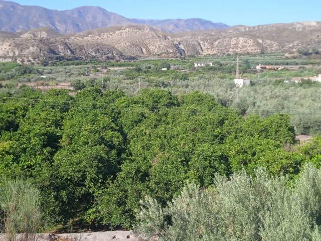 Terreno en venta en Santa Cruz De Marchena, Andalucía