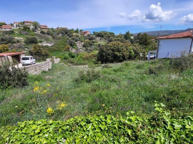 Terreno en venta en Santa Cruz De Pinares, Castilla y León