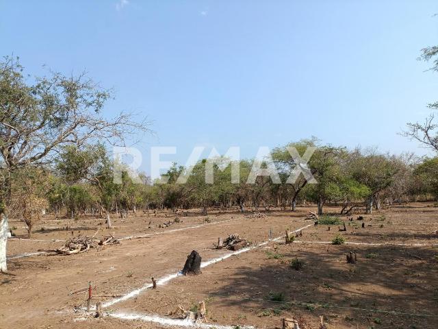 Terreno en venta en Santo Domingo Tehuantepec, Oaxaca