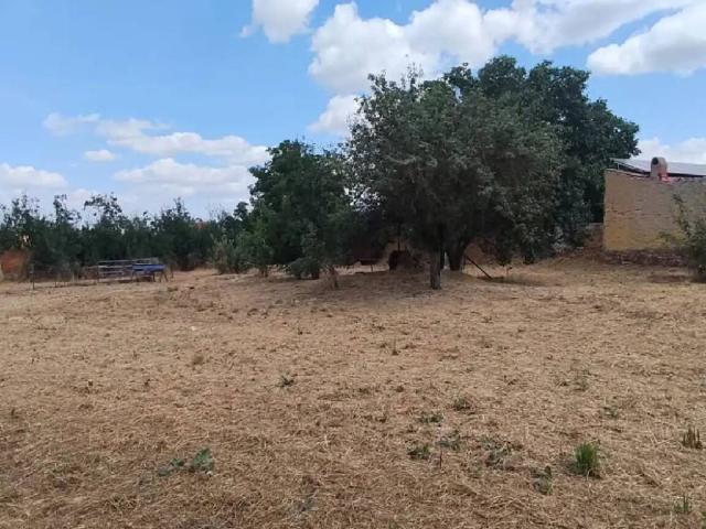 Terreno en venta en Santa Elena De Jamuz, Castilla y León