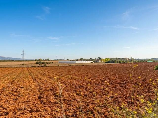 Terreno en venta en Pla de Mallorca, Baleares