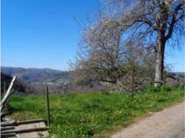 Terreno en venta en Santa Eulalia De Oscos, Asturias