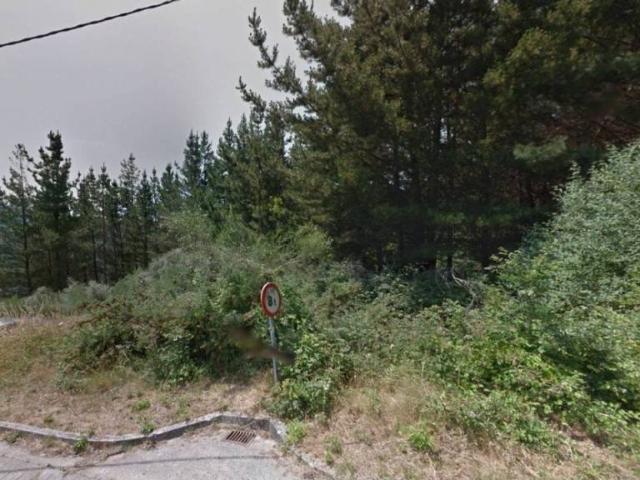 Terreno en venta en Santa Eulalia De Oscos, Asturias