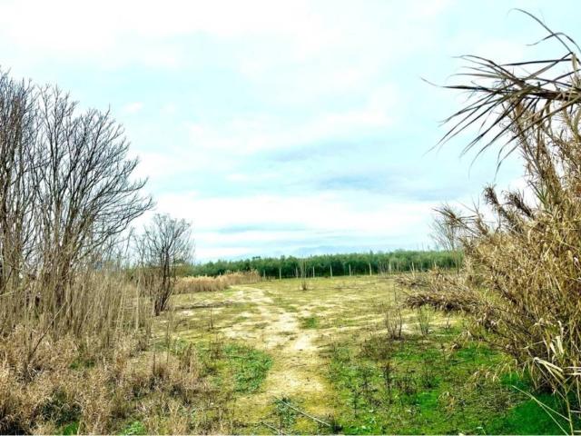 Terreno en venta en Comarca de la Vega de Granada, Andalucía