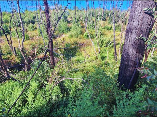 Terreno en venta en Concepción, Biobío