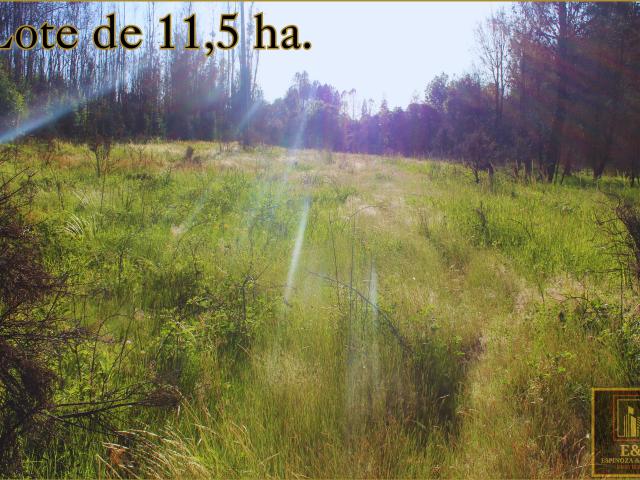 Terreno en venta en Concepción, Biobío