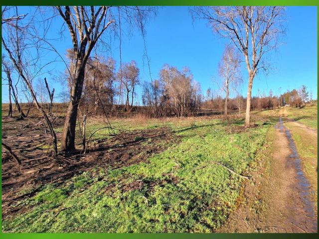 Terreno en venta en Concepción, Biobío