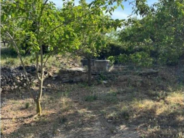 Terreno en venta en el Baix Maestrat, Valencia
