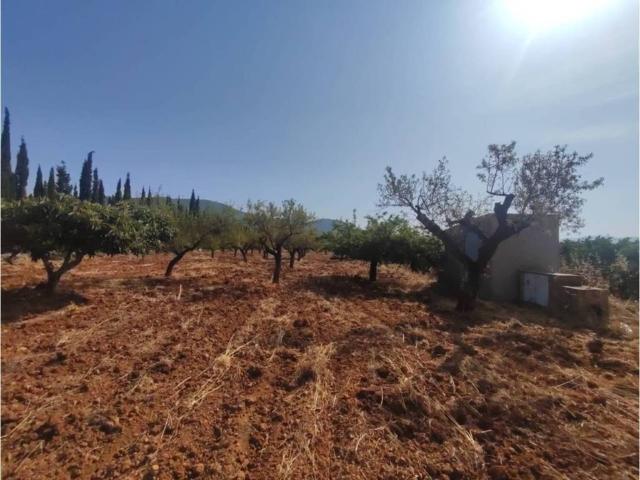 Terreno en venta en el Baix Maestrat, Valencia