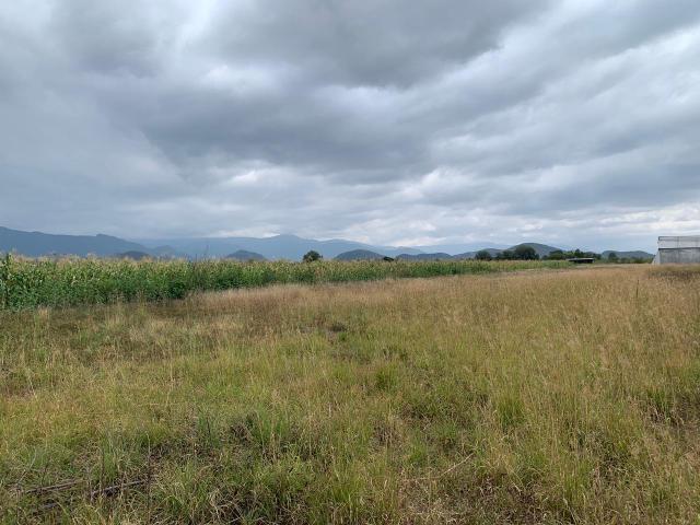 Terreno en venta en Santa María Guelacé