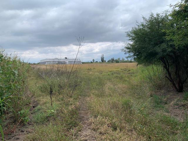 Terreno en venta en Santa María Guelacé, Oaxaca