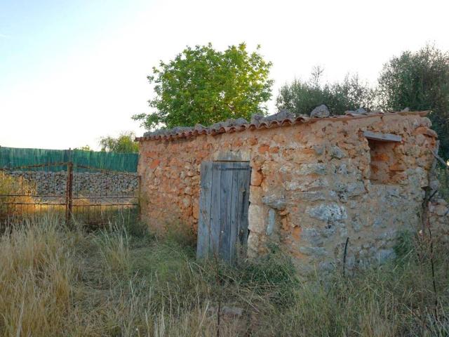 Terreno en venta en Santa Margalida