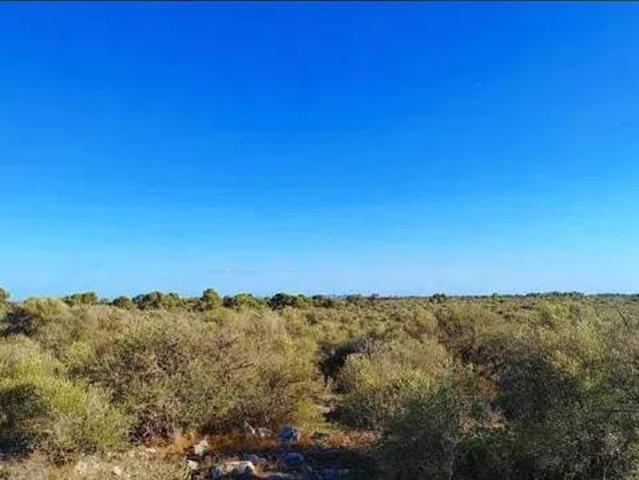 Terreno en venta en Santa Margalida, Pla de Mallorca