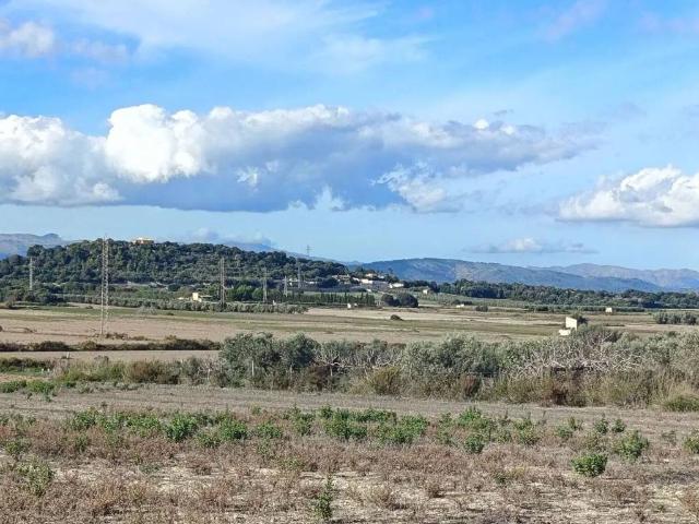 Terreno en venta en el Comtat, Valencia
