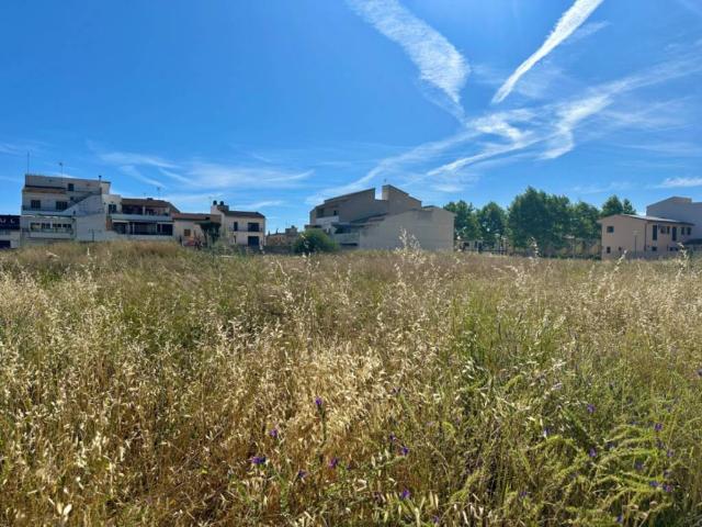 Terreno en venta en Santa Margalida