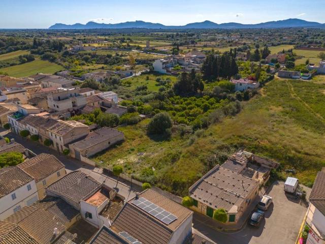 Terreno en venta en Santa Margalida