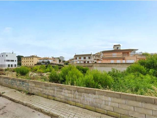 Terreno en venta en Santa Margalida