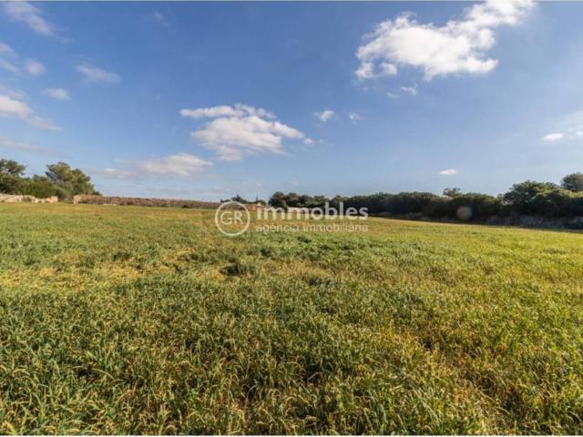 Terreno en venta en Santa Margalida