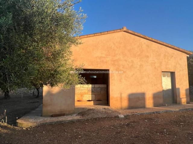 Terreno en venta en Santa Margalida