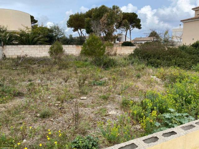 Terreno en venta en Santa Margalida
