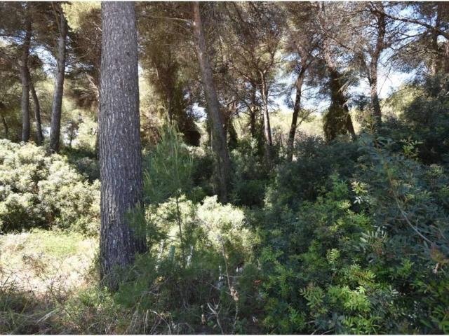 Terreno en venta en Muro
