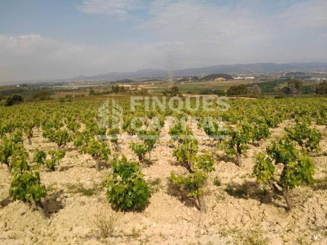 Terreno en venta en Alt Penedès, Catalunya