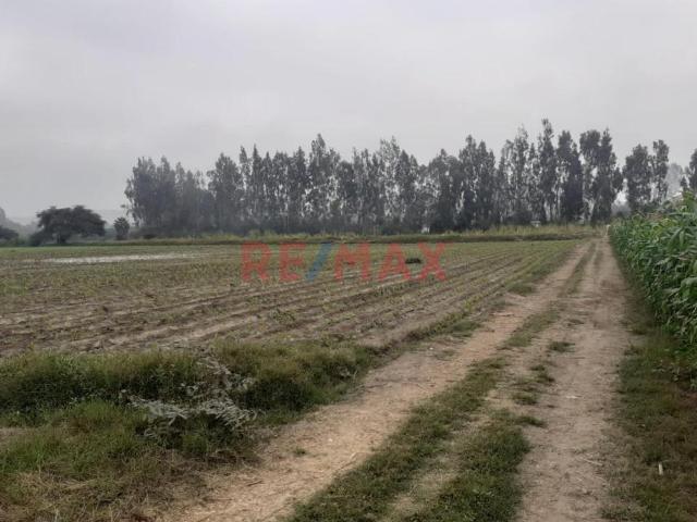 Terreno venta en Huaura, Lima Metropolitana