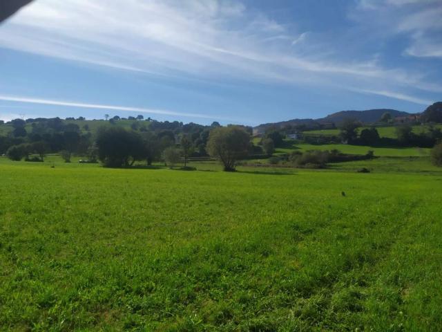 Terreno en venta en La Abadilla, Santa María De Cayón