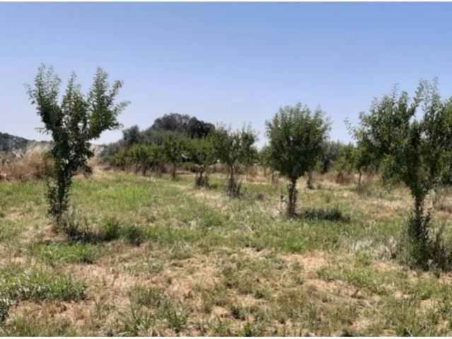 Terreno en venta en Somontano de Barbastro, Aragón