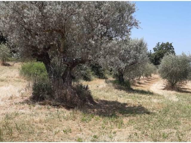 Terreno en venta en Somontano de Barbastro, Aragón