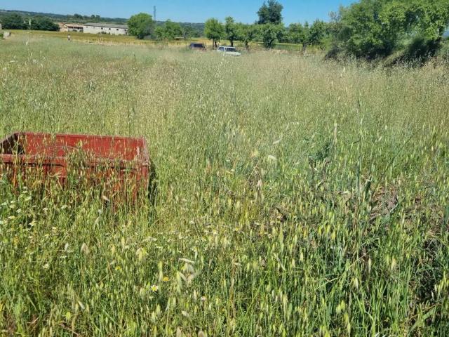 Terreno en venta en Somontano de Barbastro, Aragón