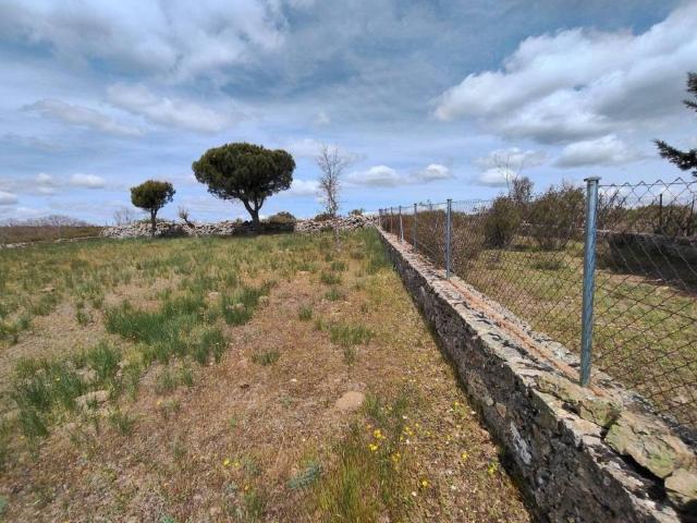 Terreno en venta en Santa María De La Alameda, Madrid