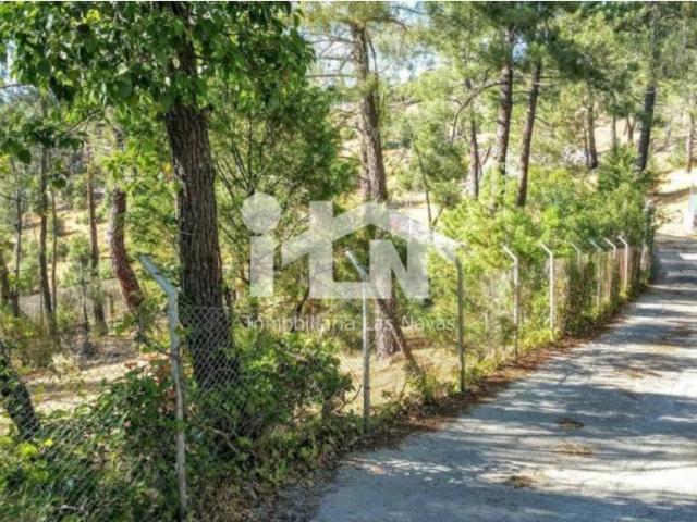 Terreno en venta en Santa María De La Alameda, Madrid
