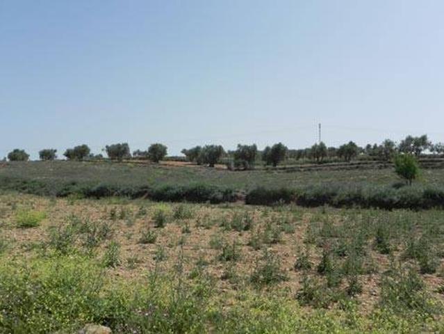 Terreno en venta en Santa María De Los Llanos, Castilla-La Mancha