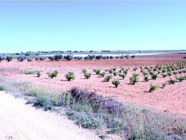 Terreno en venta en Santa María De Los Llanos, Castilla-La Mancha
