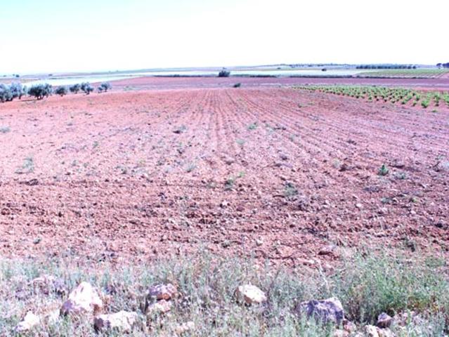 Terreno en venta en Santa María De Los Llanos, Castilla-La Mancha