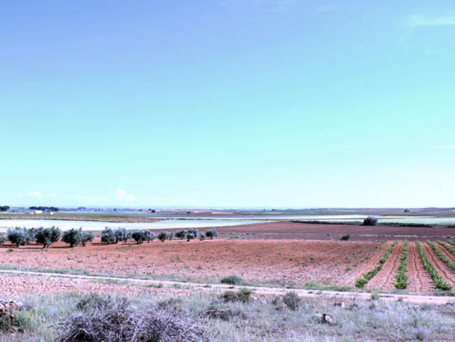 Terreno en venta en Santa María De Los Llanos, Castilla-La Mancha