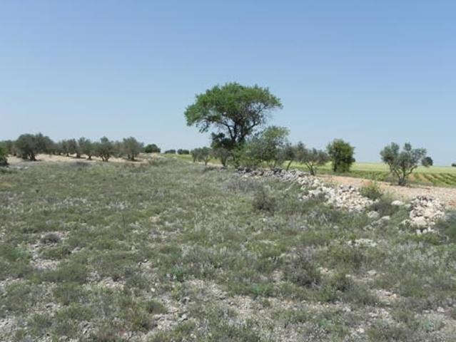 Terreno en venta en Santa María De Los Llanos, Castilla-La Mancha