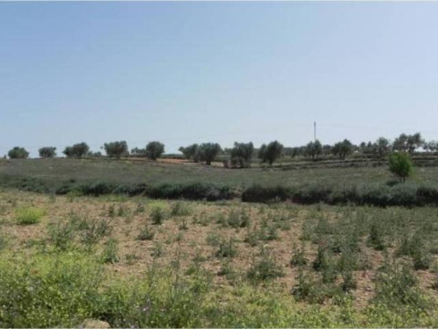 Terreno en venta en Santa María De Los Llanos, Castilla-La Mancha