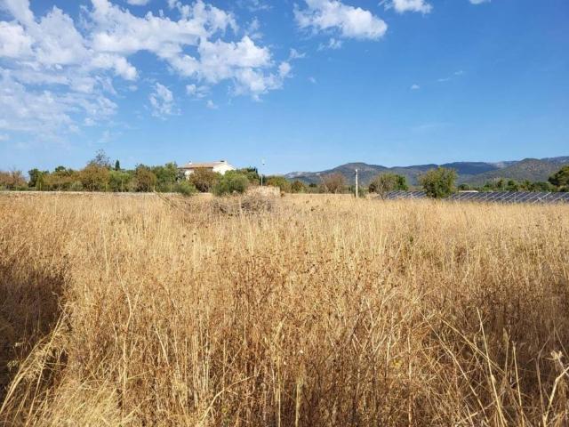 Terreno en venta en Raiguer, Baleares