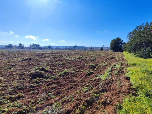 Terreno en venta en Raiguer, Baleares