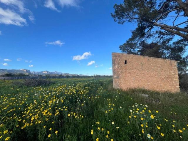 Terreno en venta en Raiguer, Baleares